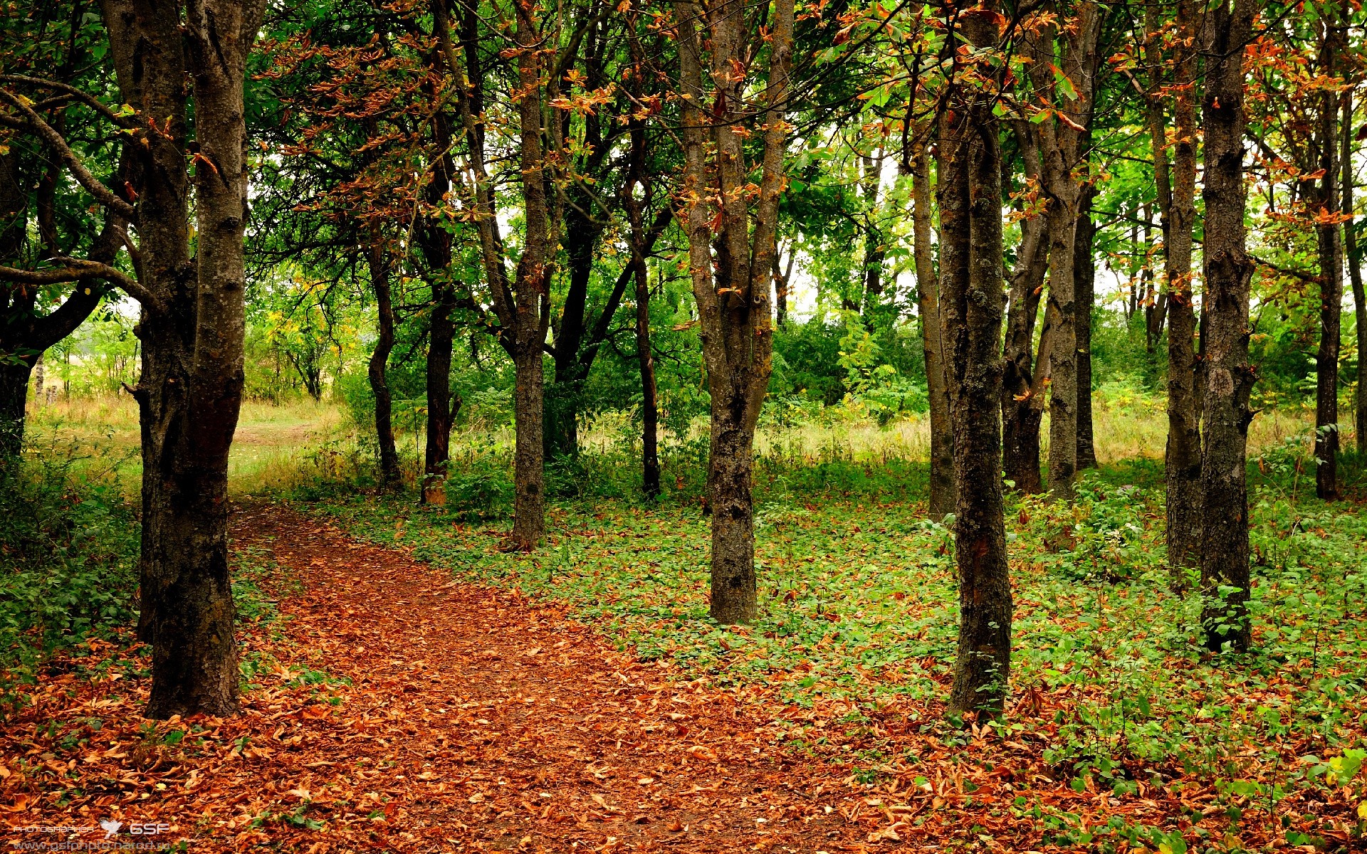 Leyu Sports (乐鱼体育)-冰球世锦赛中加拿大完胜俄罗斯，夺冠声势浩大，冰球加拿大人队