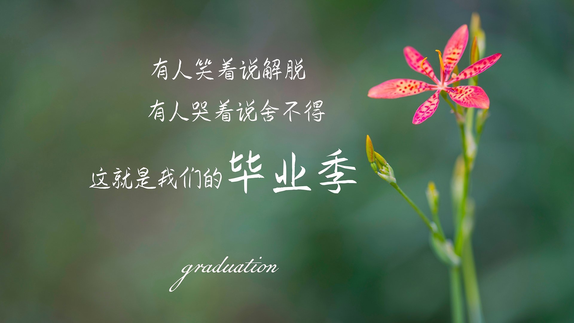 电竞城市打造电竞产业示范区，电竞产业园