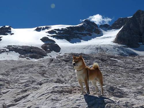 乐鱼体育登录-自由转会球员是否易成为更衣室潜在隐患，转会自由人是什么意思