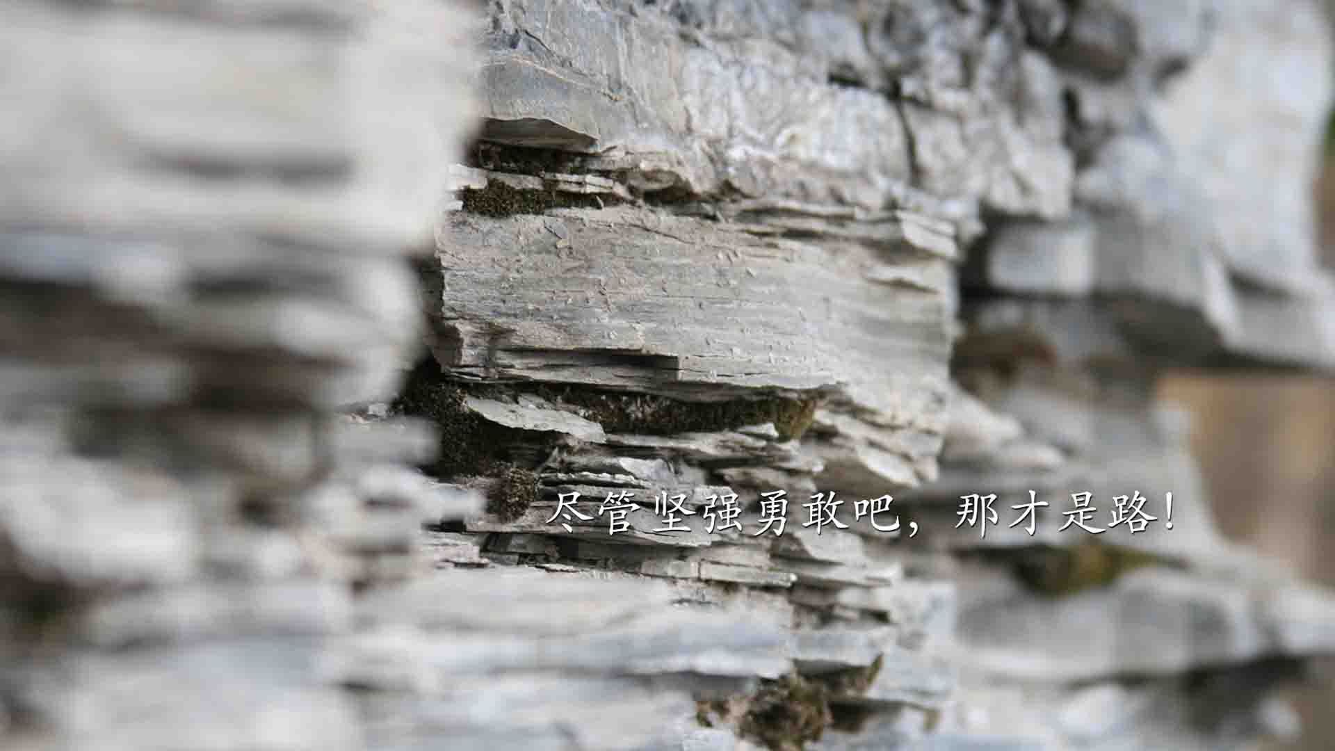 马德里竞技惜败劲敌，遭遇压哨失败，马德里竞技百科