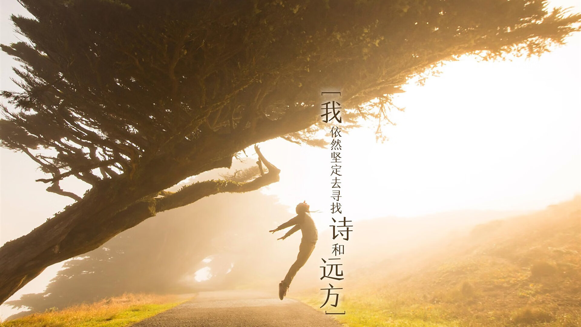 中国篮球青少年篮球发展政策评估及推广策略分析,中国青少年篮球训练指导手册