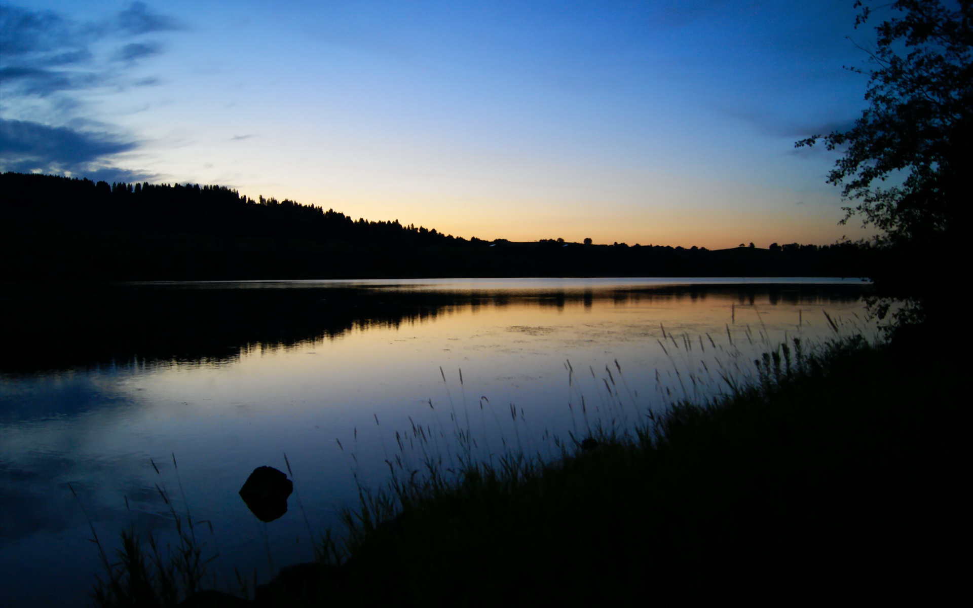 体育新闻中心建设体育音视频版权交易平台，体育新闻网站哪个最好