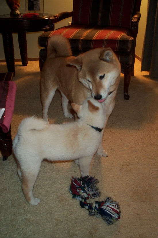 乐鱼电竞在线平台-图卢兹边路发起多次成功突袭，图卢兹地图位置