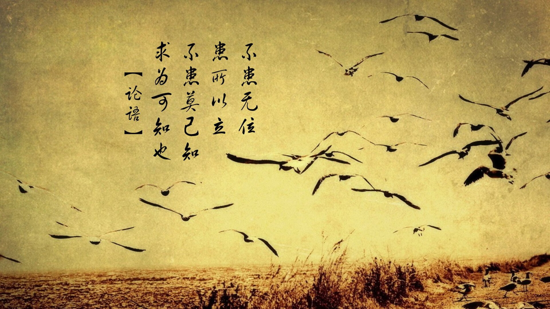 乐鱼（LEYU）体育-罗马尼亚队如何在国际乒联混合团体世界杯中充分发挥潜力，罗马尼亚乒乓球怎么样