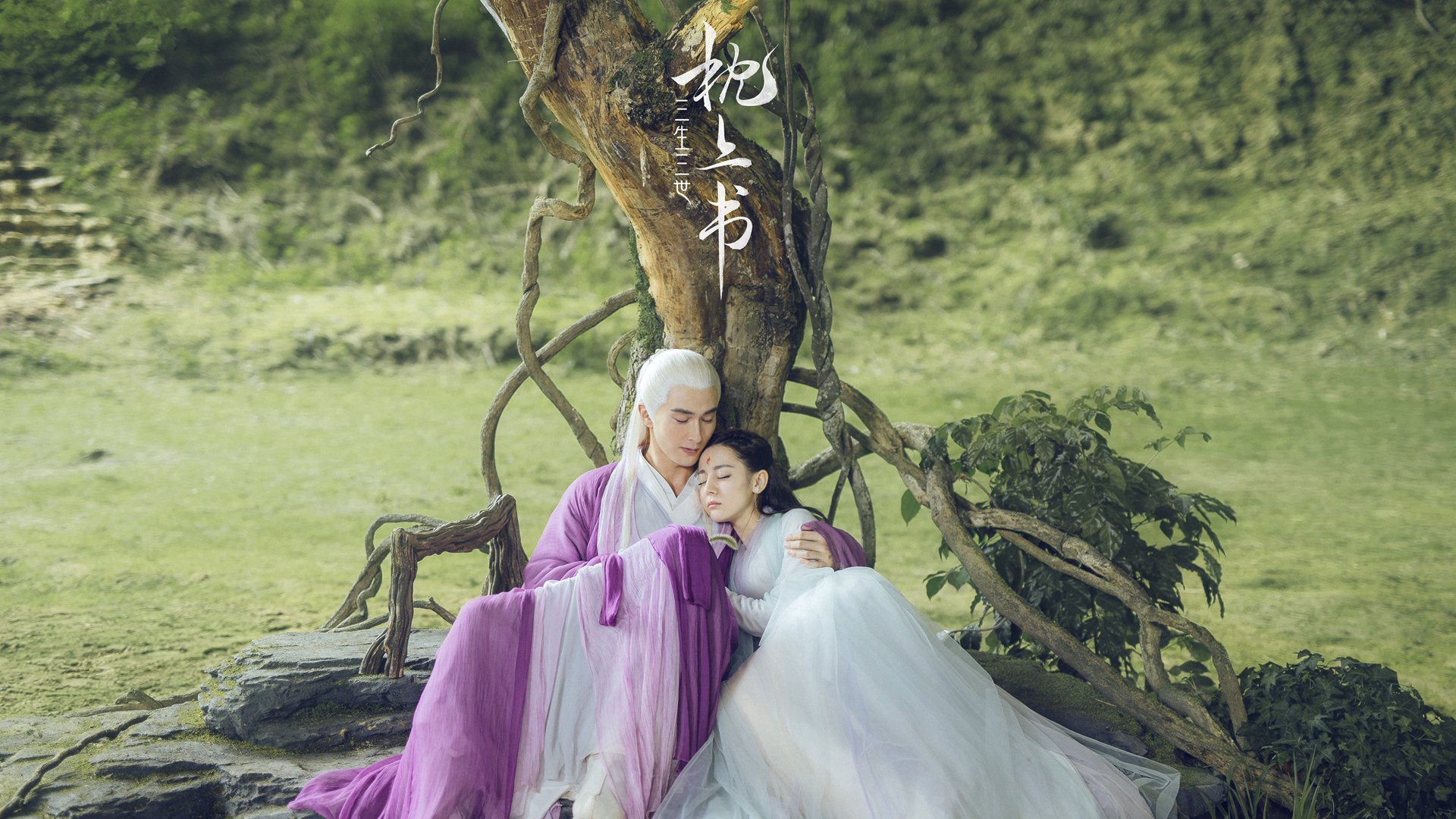 辽宁飞豹关键比赛经验丰富应对压力得当,辽宁飞豹官方