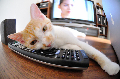 德甲战术录像分析方法创新，德甲录像回放pp体育