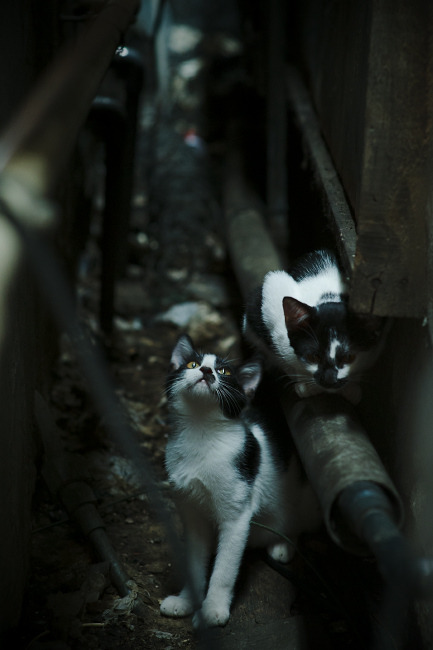 乐鱼体育(中国)官方网站-波波维奇赛场表现引发媒体关注，波波维奇 胜场