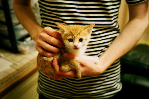 西甲天王帽子戏法:场上瞬间成经典,帽子戏法梅西多少个