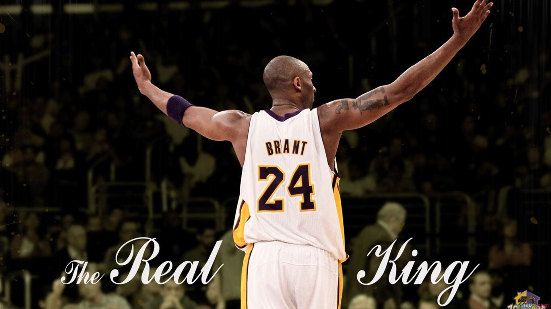 _鹈鹕潜力无限，逐步逼近前列_，“鹈鹕”